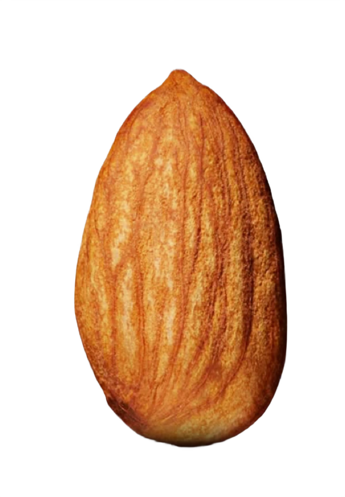Premium Almonds