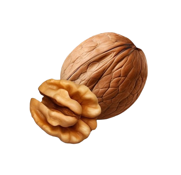 Chilean Walnuts